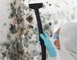 Best Mold Remediation for Healthcare Facilities  in USA